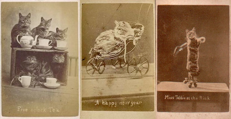 Illustration for article titled Vintage Photos Reveal Century-Long Obession with Dressing Up Pets